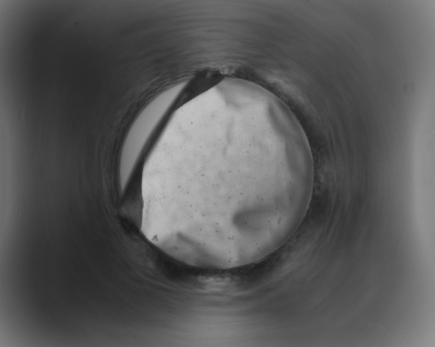 X0000088440693200706191253