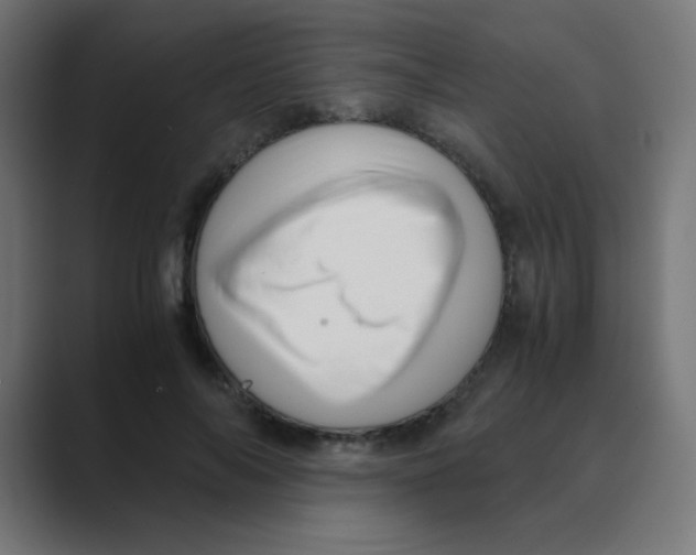 X0000088440694200706191253