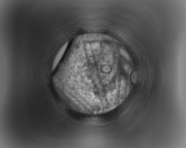 X0000088440695200706191253