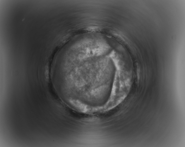 X0000088440696200706191253