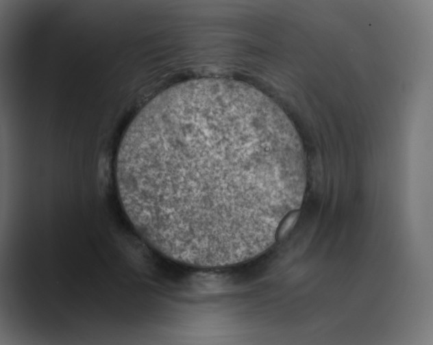 X0000088440699200706191253