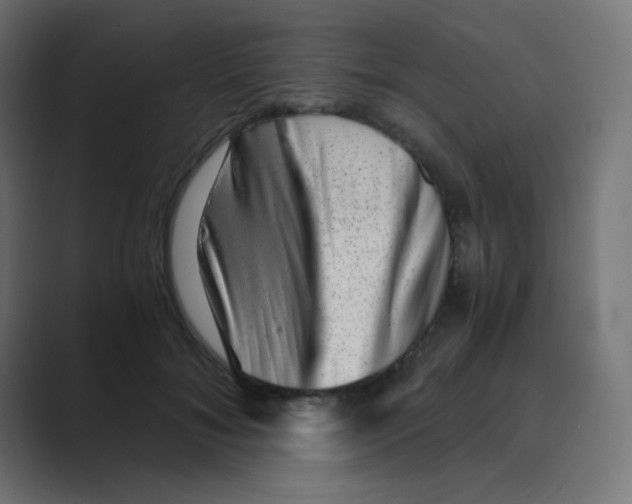 X0000088440700200706191253