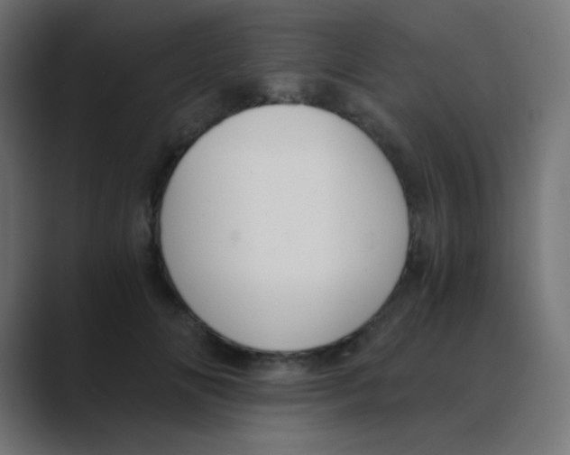 X0000088440702200706191253