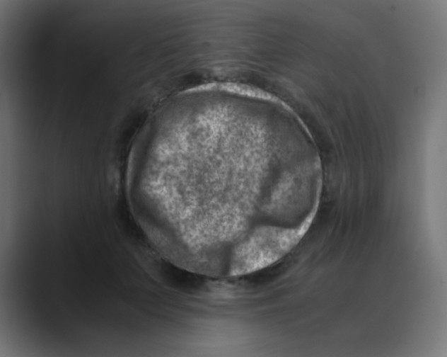 X0000088440703200706191253