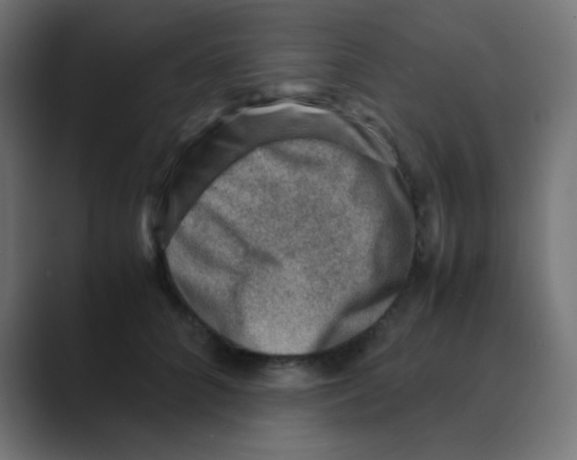 X0000088440704200706191253