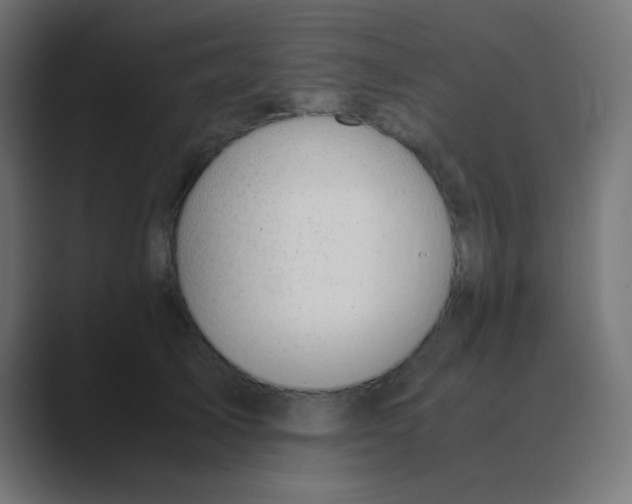 X0000088440705200706191253