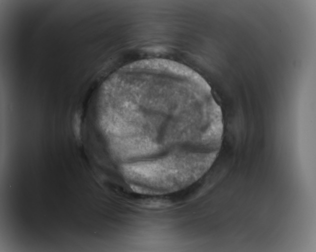 X0000088440708200706191253