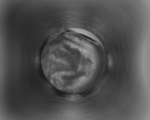 X0000088440716200706191252