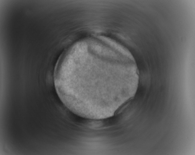 X0000088440719200706191252