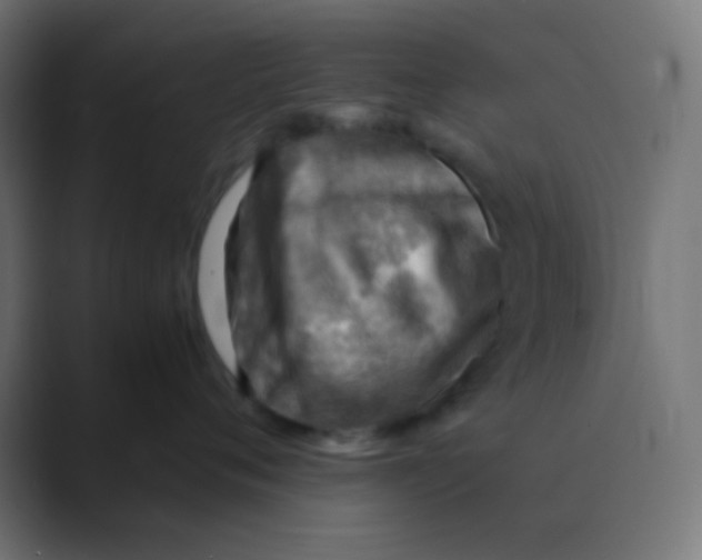 X0000088440720200706191252