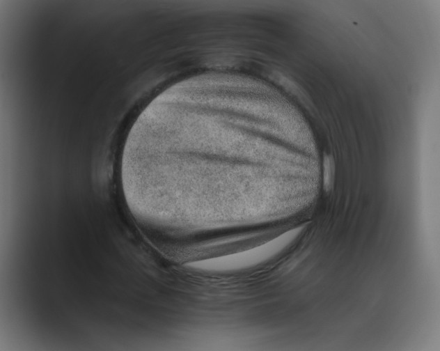 X0000088440723200706191252