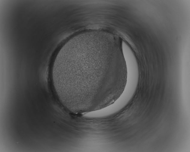 X0000088440724200706191252