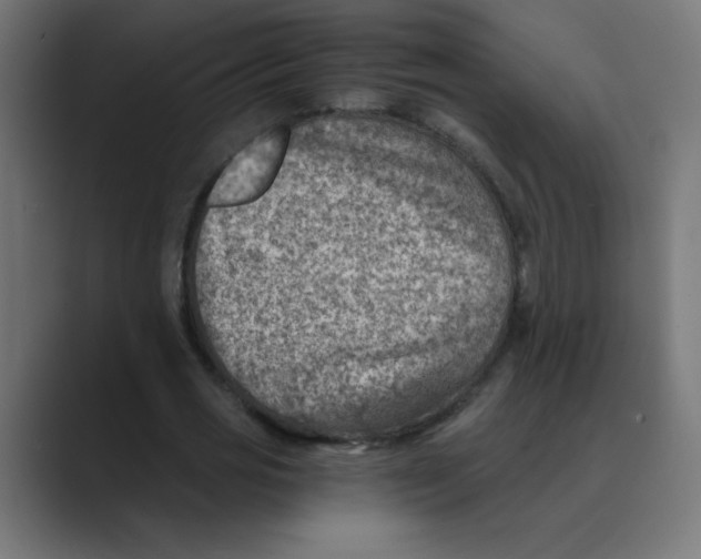 X0000088440725200706191252