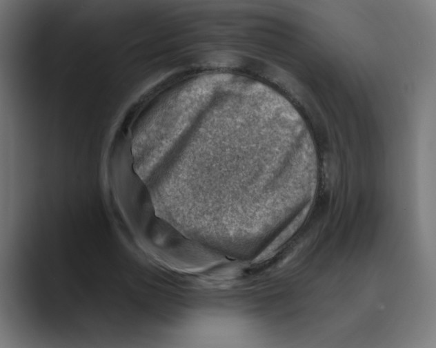 X0000088440726200706191252