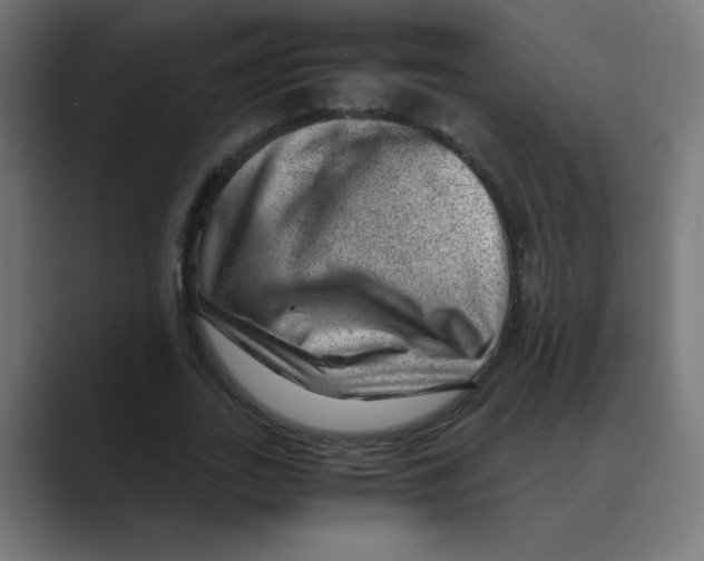 X0000088440727200706191252