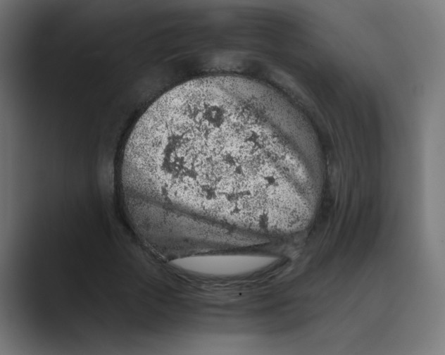 X0000088440729200706191252