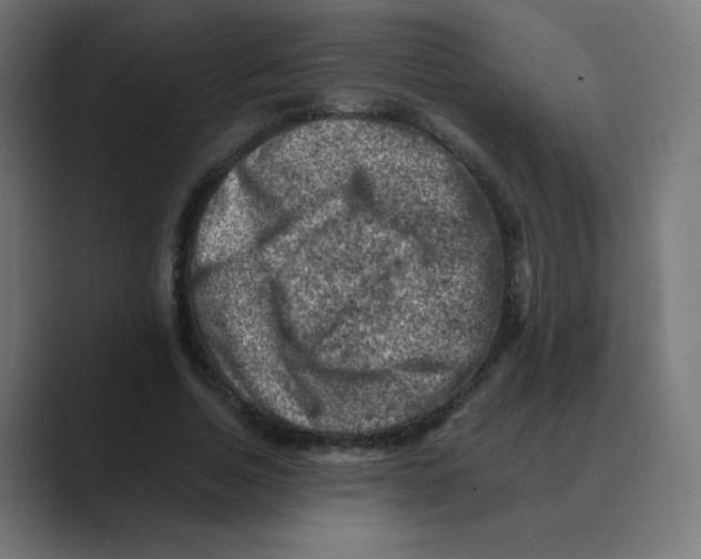 X0000088440730200706191252