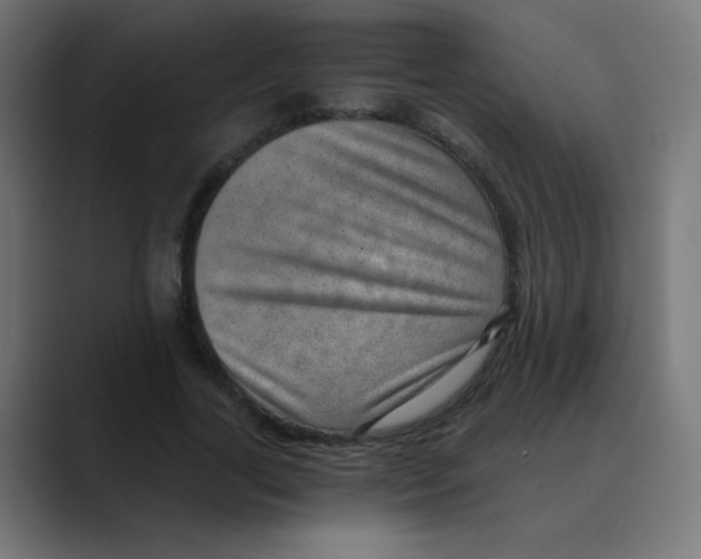 X0000088440731200706191252