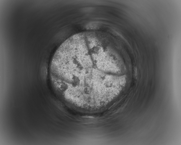 X0000088440733200706191252