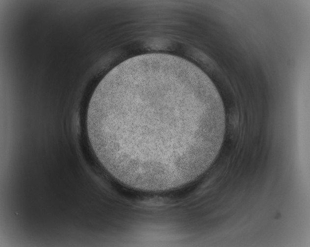 X0000088440734200706191252