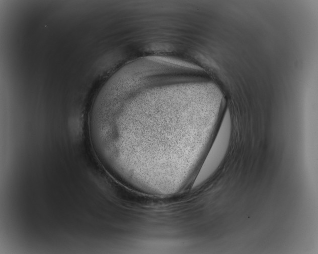 X0000088440735200706191252