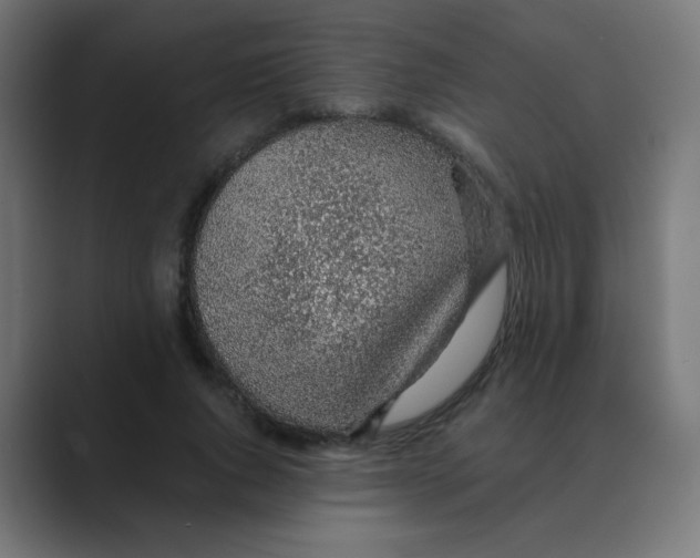 X0000088440736200706191252