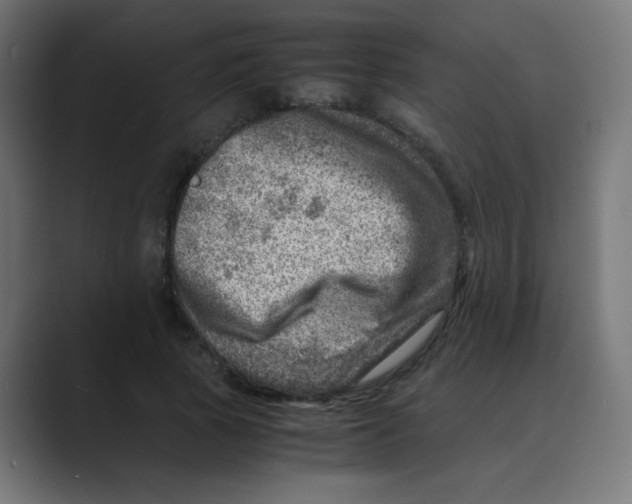 X0000088440737200706191252