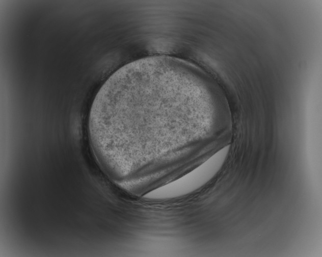 X0000088440738200706191252