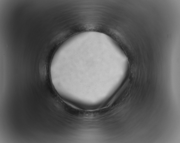 X0000088440740200706191252