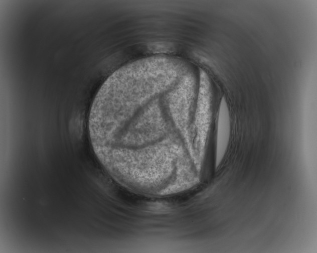 X0000088440741200706191252