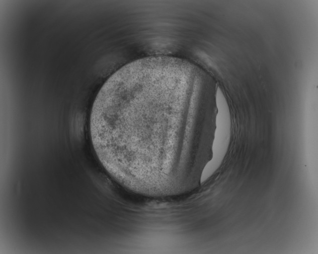 X0000088440742200706191252