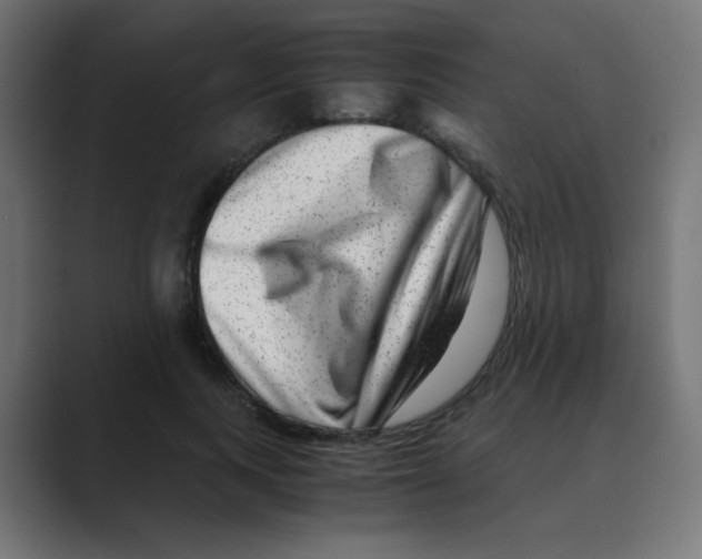 X0000088440743200706191252