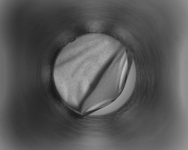 X0000088440744200706191252