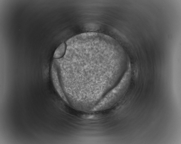 X0000088440745200706191252