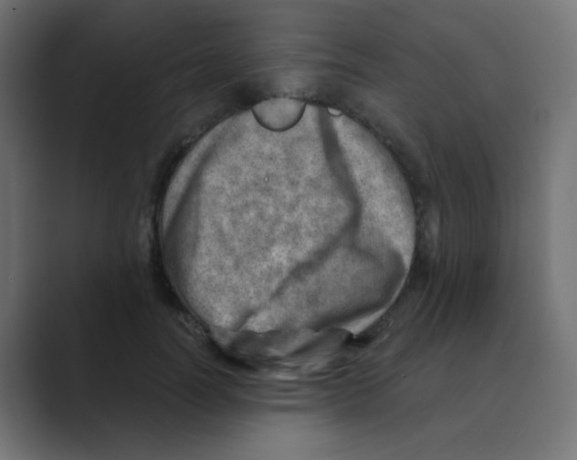 X0000088440746200706191252