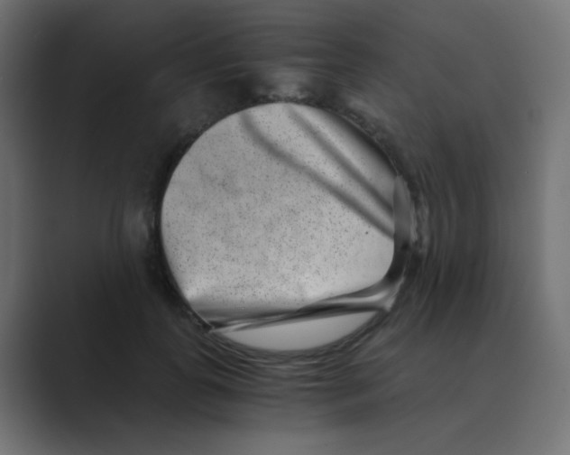 X0000088440747200706191252