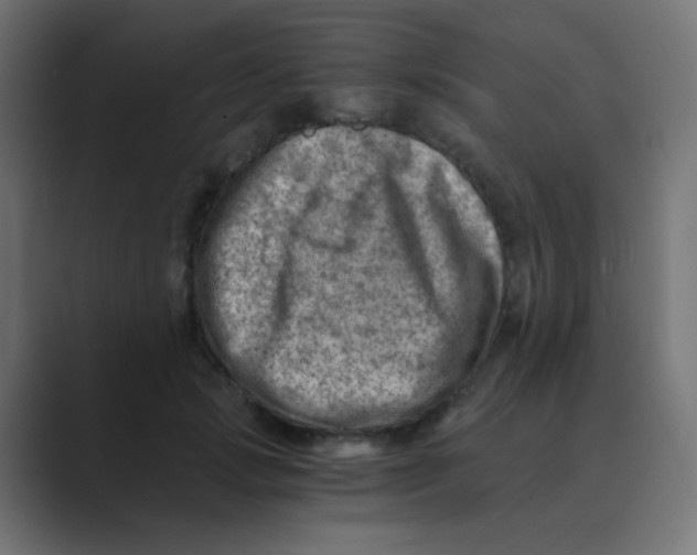 X0000088440749200706191252