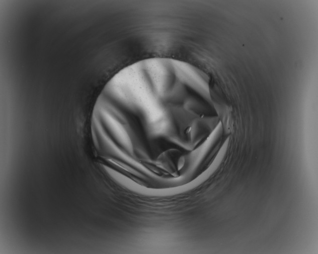 X0000088440750200706191252