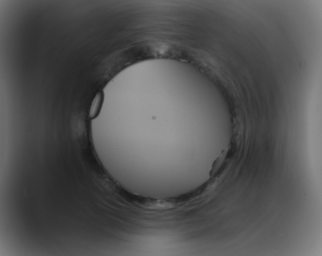 X0000088440754200706191252