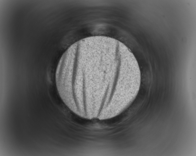 X0000088440755200706191252