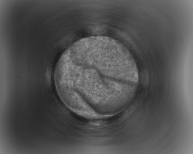 X0000088440757200706191252