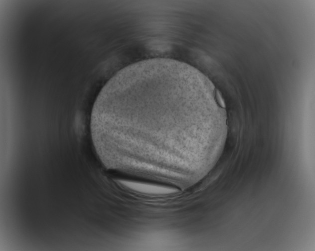 X0000088440758200706191252