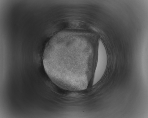 X0000088440759200706191252