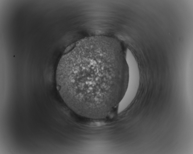 X0000088440760200706191252