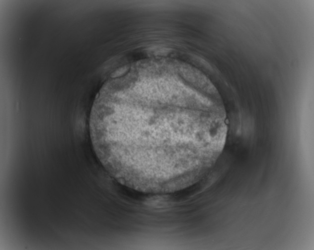 X0000088440761200706191252