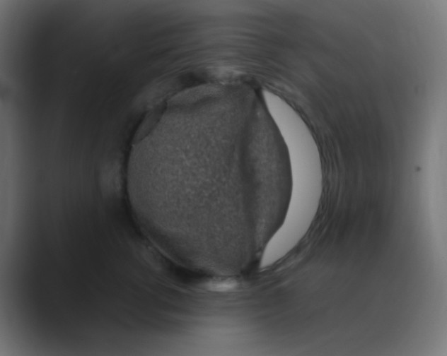 X0000088440762200706191252