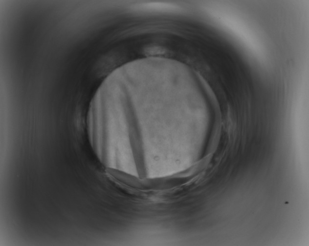 X0000088440763200706191252