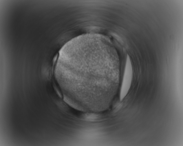 X0000088440766200706191252