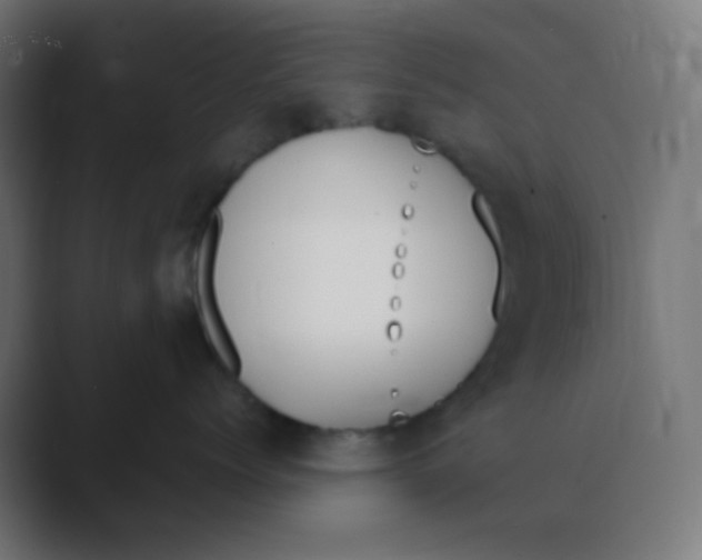 X0000088440768200706191252