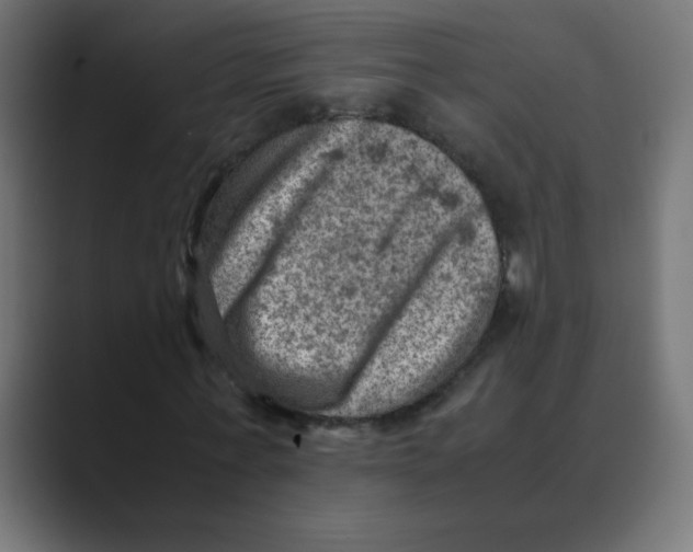 X0000088440771200706191252